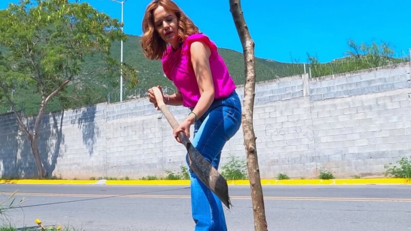 Un árbol frente al futuro: Clara Luz se suma a la Jornada Nacional de Reforestación